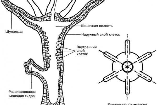 Кракен торговая kr2web in