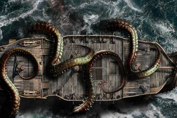 Kraken 19at