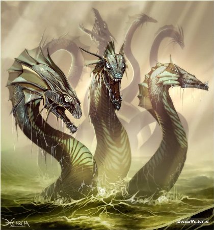 Kraken link